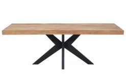 Esstisch Newton Teak natur B 260 cm
