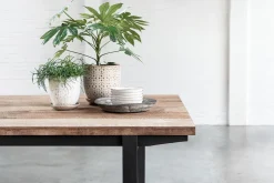 Esstisch Odeon Teak natur B 175 cm