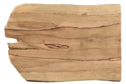 Tischplatte Mangoholz Monolith 160x90 cm